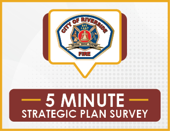 5 Minute Strategic Plan Survey 